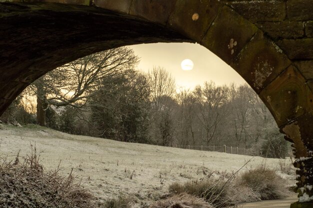 vue du soleil à la recherche d'un tunnel en hiver avec du givre au sol