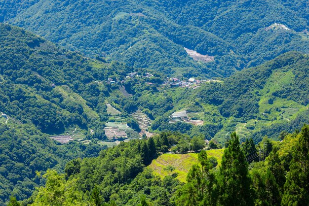 Vue du sommet de la montagne à Nantou à Taïwan