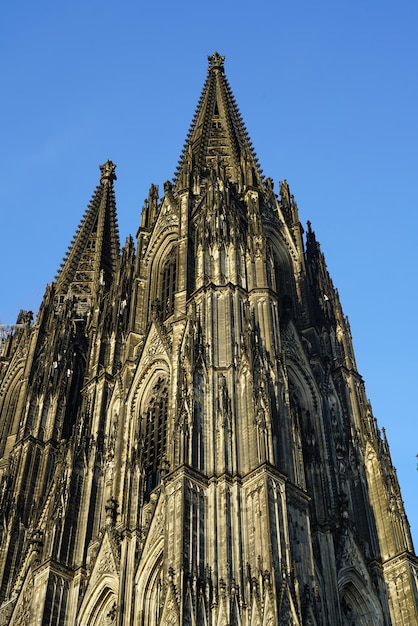 Vue du temple en bas angle contre un ciel dégagé