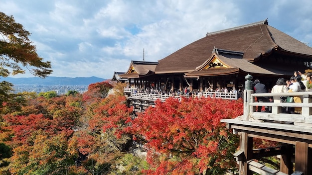 Une vue du temple du haut de la colline