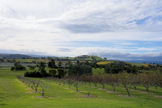 Une vue du verger depuis la ferme