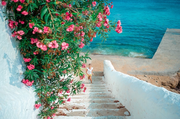 Vue du village grec traditionnel avec des maisons blanches sur l'île de Mykonos, Grèce,