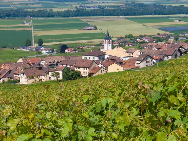 Photo vue du village