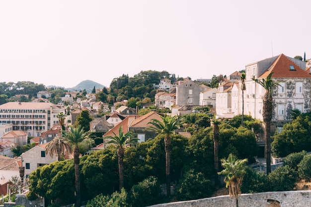 Photo vue de dubrovnik à la ville moderne en dehors des murs de la vieille ville