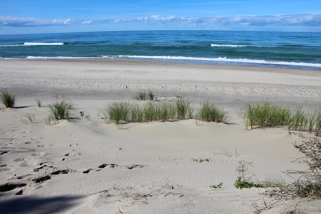 vue sur une dune de sable avec une bande d'herbe, la mer Baltique