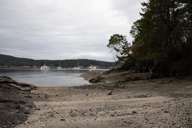 Une vue sur l'eau et les voiliers depuis la plage au bout de l'anse bordée d'arbres