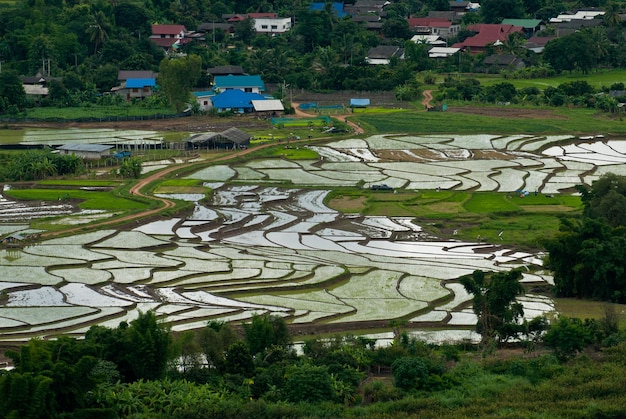 Photo vue élevée des rizières en terrasses mae chaem chiang mai dans le nord de la thaïlande