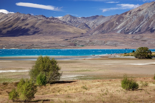 Vue éloignée sur le lac Tekapo un jour d'été