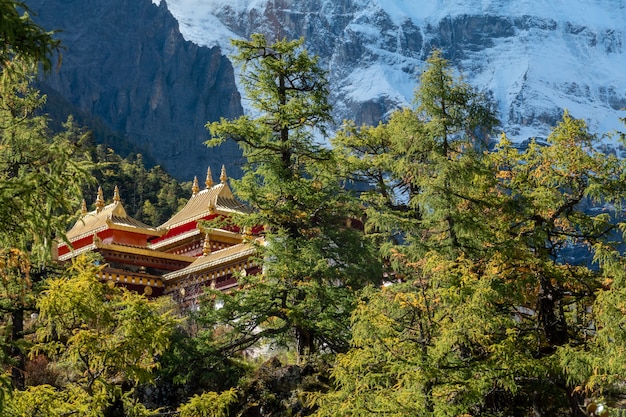 Vue d'ensemble du temple de Chong Gu sur une colline en automne dans la réserve naturelle de Yading