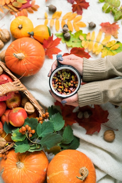 Vue d'ensemble des mains humaines tenant du thé chaud aux herbes parmi les citrouilles mûres, les pommes et les feuilles d'automne