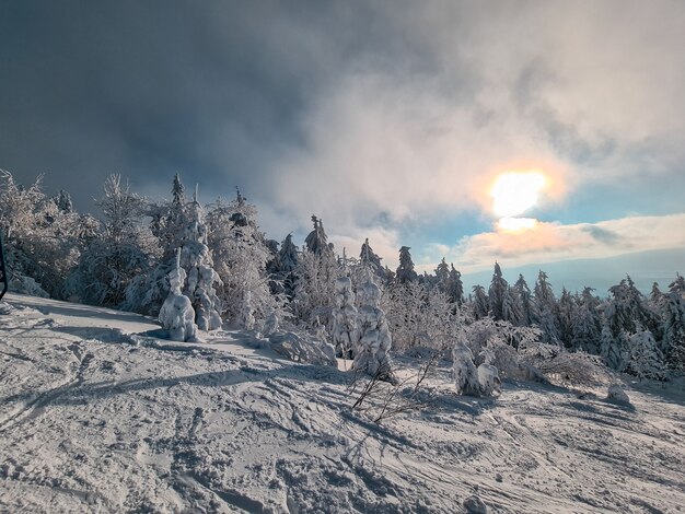 Vue sur l'espace de copie des montagnes des Carpates ukrainiennes enneigées