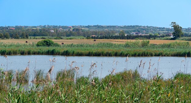 Vue sur l'étang de Platamona depuis la pinède