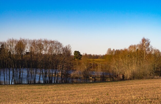 Vue sur l'étang à travers les arbres au début du matin de printemps avec un ciel bleu