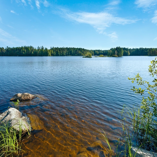 Vue d'été sur le lac avec forêt en bordure de Finlande