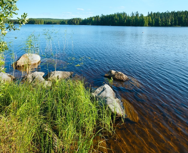 Vue d'été sur le lac avec forêt en bordure ( Finlande).