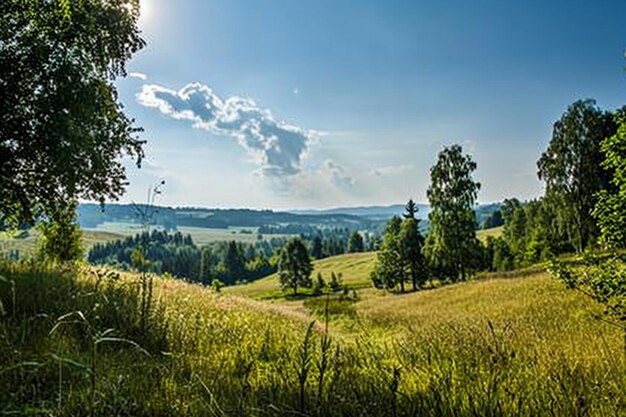 Photo vue d'été de la prairie des hautes terres