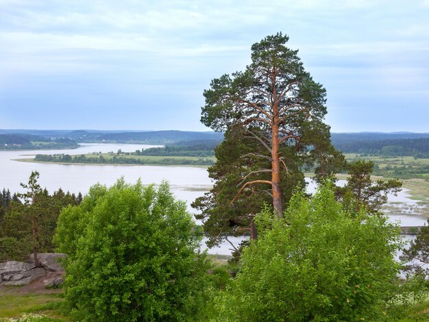 Vue d'été de la rivière et des bois en Carélie