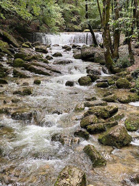 Vue d'été de la rivière Herisson france jura