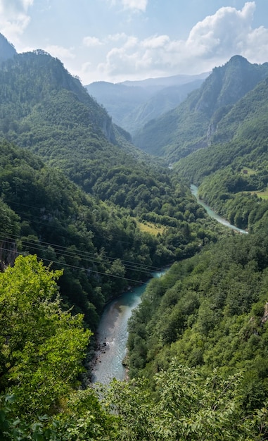 Vue d'été Tara Canyon Monténégro