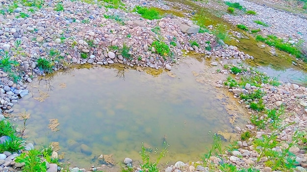 Une vue étonnante de la nature L'eau propre du lac