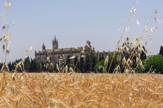 Vue extérieure du monastère de la Cartuja Jerez de la Frontera