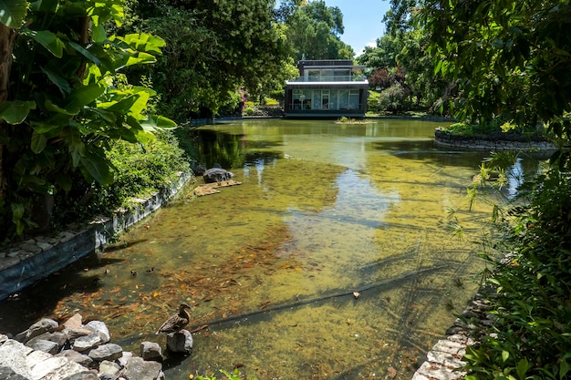 Vue extérieure d'une section du jardin de la serre froide