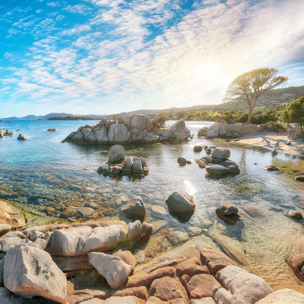 Photo une vue fabuleuse sur les plages de palombaggia et de tamaricciu