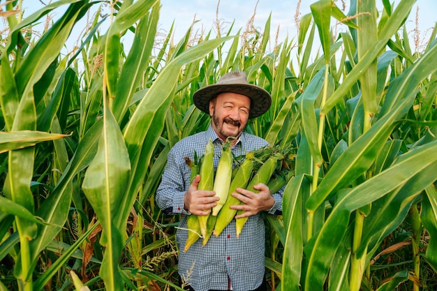 Vue de face d'un agriculteur âgé souriant regardant la caméra dans un champ avec une riche récolte tenant des épis de maïs