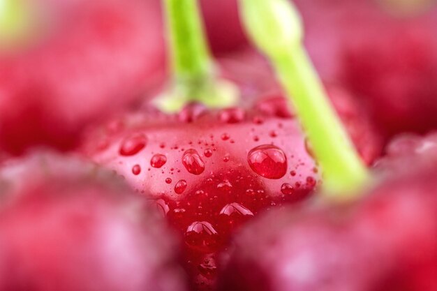 Vue de face de cerises noires mûres fraîches fond rouge gros plan