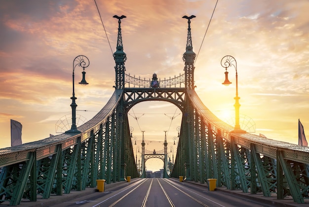 Vue de face du pont Liberty à Budapest au lever du soleil