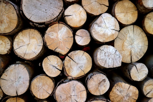 Vue de face du tas de bûches de bois coupées pour fond de papier peint