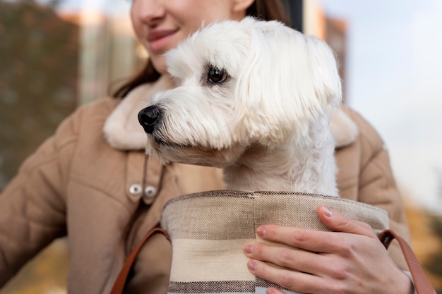 Photo vue de face femme avec chien dans un sac