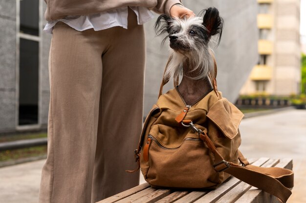 Photo vue de face femme portant un chiot dans un sac