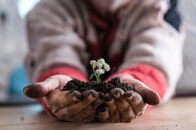 Vue de face d'un homme tenant un sol avec une fleur de printemps blanche dans ses mains convenant aux concepts écologiques et bio