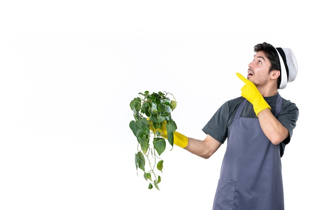 Vue de face jeune homme en gants jaunes tenant une plante sur fond blanc herbe arbre au sol travail vert jardin couleurs de fleurs jardinier