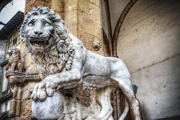 Vue de face d'un Lion dans la Loggia dei Lanzi à Florence Italie