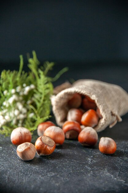 Vue de face de noisettes fraîches à l'intérieur d'un petit sac sur le backgorund sombre plante de noix photo couleur noyer obscurité