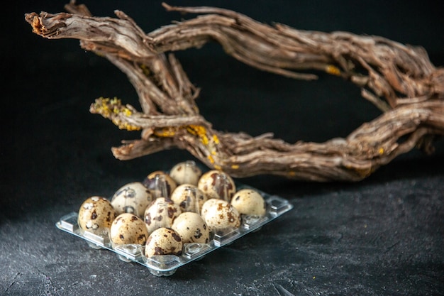 vue de face oeufs de caille frais sur fond sombre tarte à la pâte petit déjeuner matin couleur thé pain lait oiseau animal