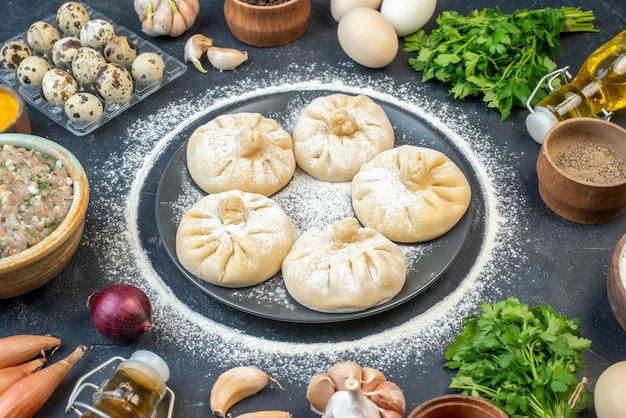 Vue de face petites boulettes crues avec différents ingrédients sur fond gris gâteau de tarte alimentaire cuire savoureux pâte de viande couleur farine cuire