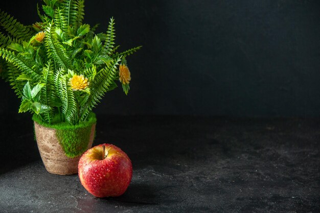 vue de face pomme rouge fraîche sur fond sombre photo couleur mûre jus d'arbre fruit moelleux espace libre pour le texte