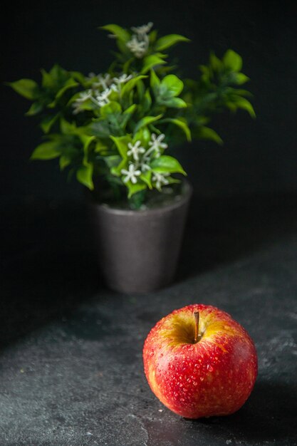 vue de face pomme rouge fraîche avec plante verte sur fond sombre photo mûre jus d'arbre fruit couleur moelleux