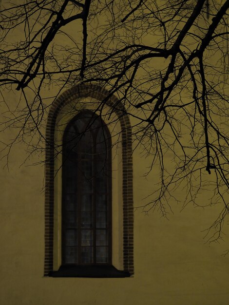 Photo vue à faible angle de l'arbre nu contre la maison au crépuscule