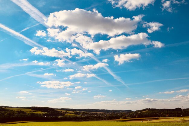 Photo vue à faible angle des arbres sur le champ contre le ciel