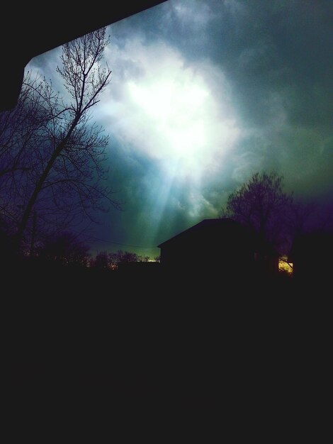 Photo vue à faible angle des arbres contre le ciel la nuit