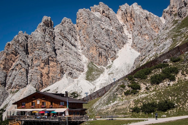 Vue à faible angle des arbres sur la montagne contre le ciel