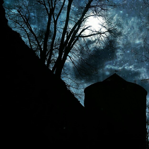 Photo vue à faible angle des arbres nus contre le ciel la nuit