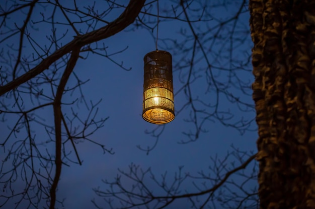 Photo vue à faible angle d'un bâtiment éclairé contre le ciel au crépuscule