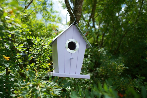 Photo vue à faible angle de la cabane d'oiseau suspendue à un arbre