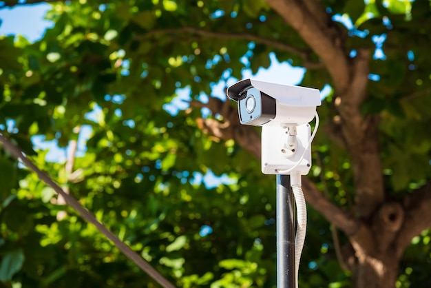 Vue à faible angle de la caméra de sécurité contre les arbres
