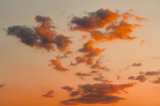 Vue à faible angle du ciel spectaculaire au coucher du soleil